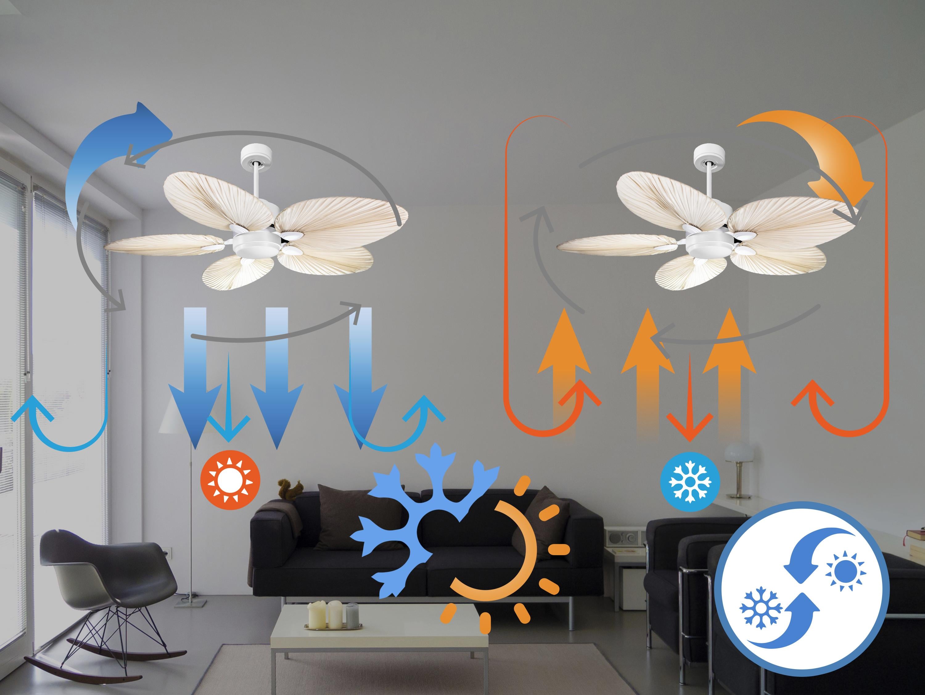 Ventilatore da soffitto Wifi Motore CC Telecomando Luce a tre toni Hypersilence Memoria