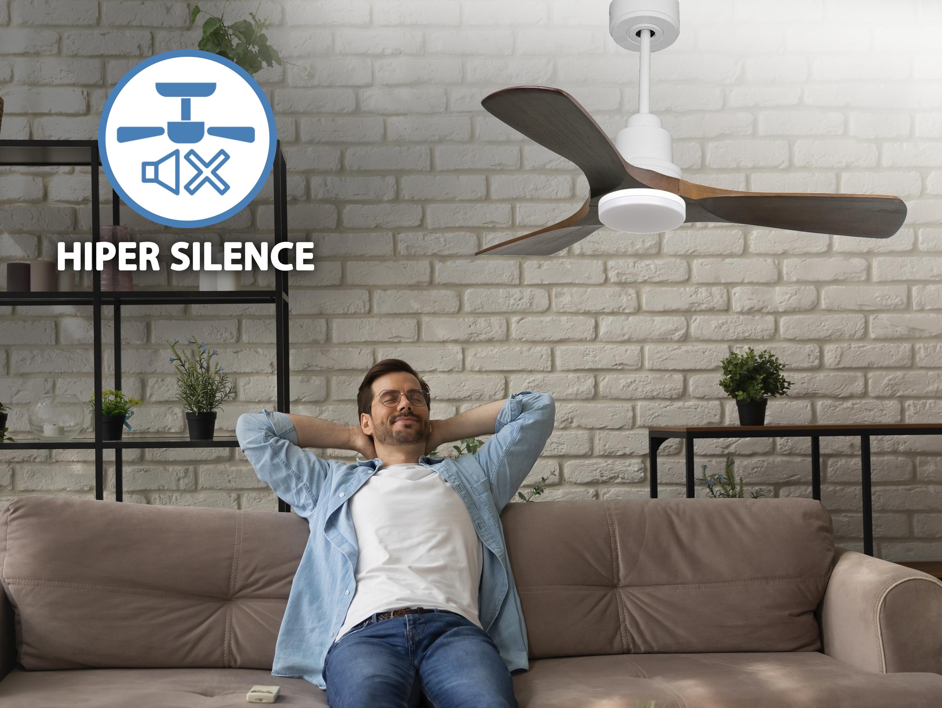 Ventilatore da soffitto Reversibile Termostato Dimmabile Wifi Motore CC Tetti inclinati Telecomando Luce a tre toni Hypersilence Memoria